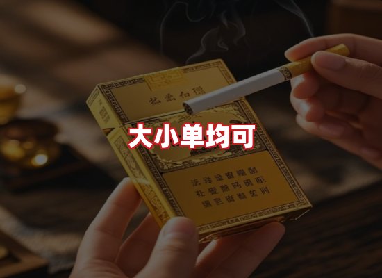专业团队